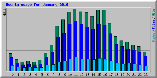 Hourly usage for January 2010