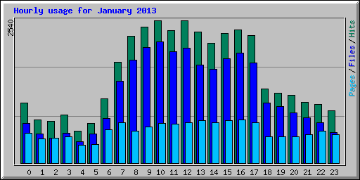 Hourly usage for January 2013