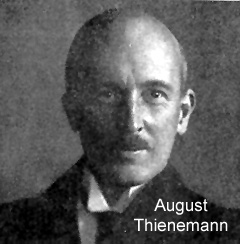 [Img-August Thienemann]