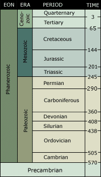 geologicalscale.gif-Nova Scotia Museum Fossils of Nova Scotia Website