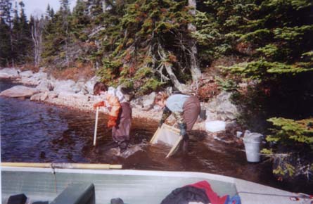 Benthic Ecologist, Kim Hynes, and Biologist, Cathy Reeves, at McGrath Lake