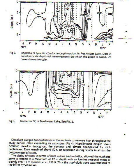 [Img- Kerekes_1983-4]