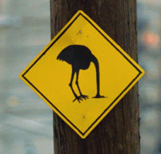 ostrich2.gif