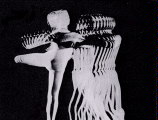 (Image: Norman McLaren's `Pas de Deux')