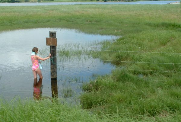 child, post and high tide
