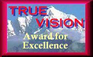 True Vision Award for
Excellence, 
